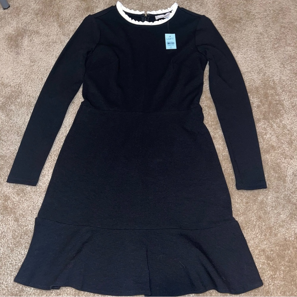 NWT Loft Dress